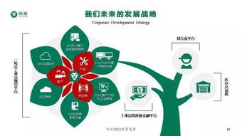 西域入选2017年度上海市电子商务 双推 企业